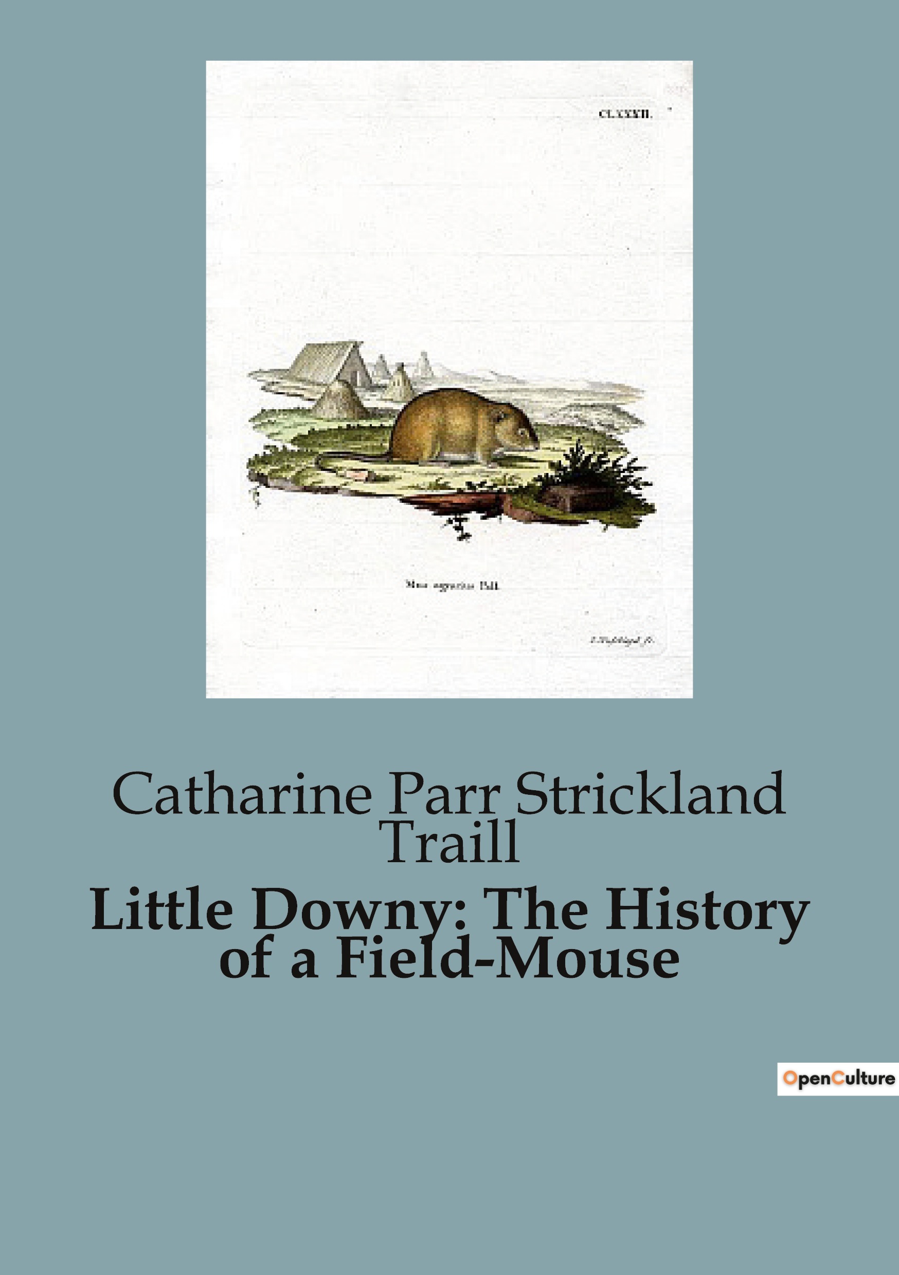 Little Downy: The History of a Field-Mouse