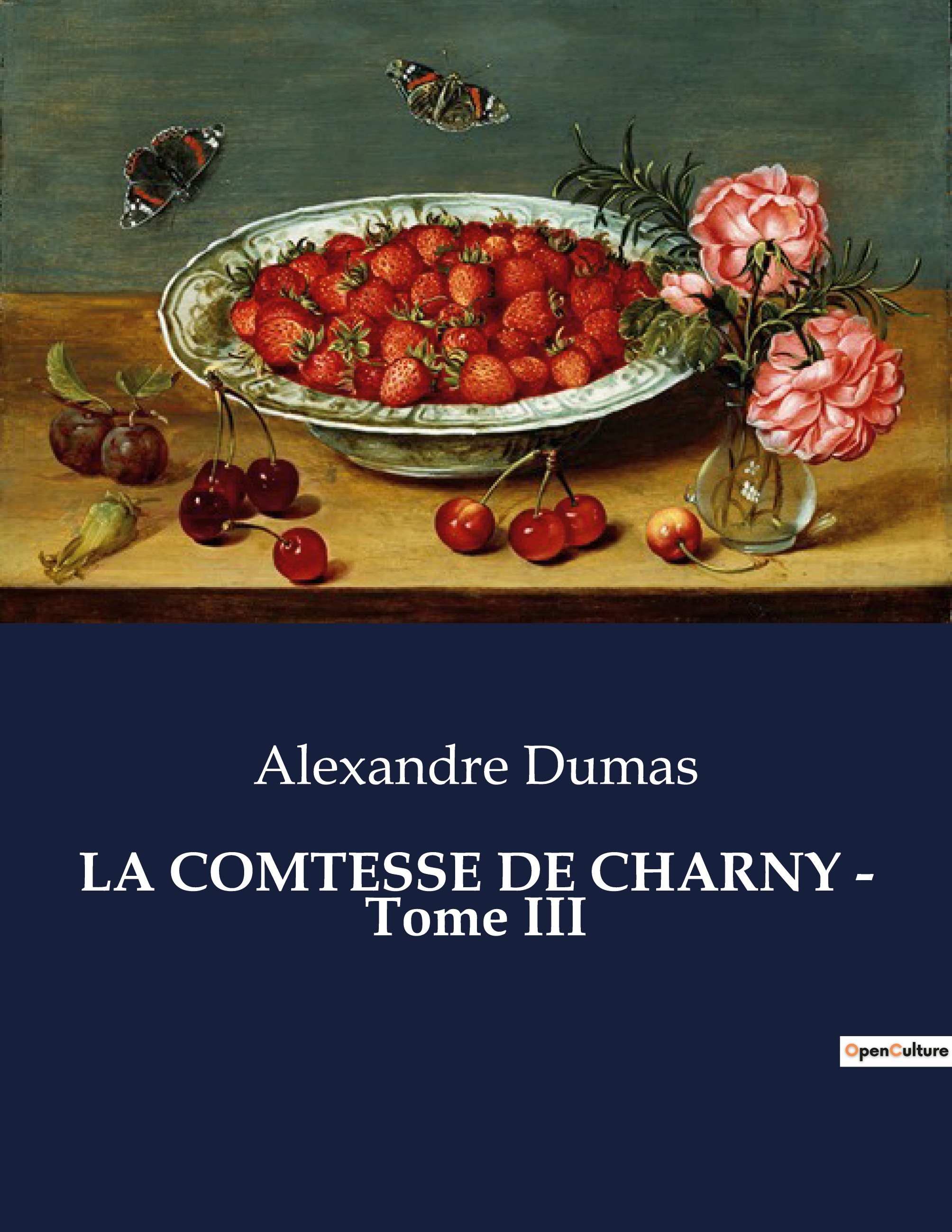 LA COMTESSE DE CHARNY - Tome III