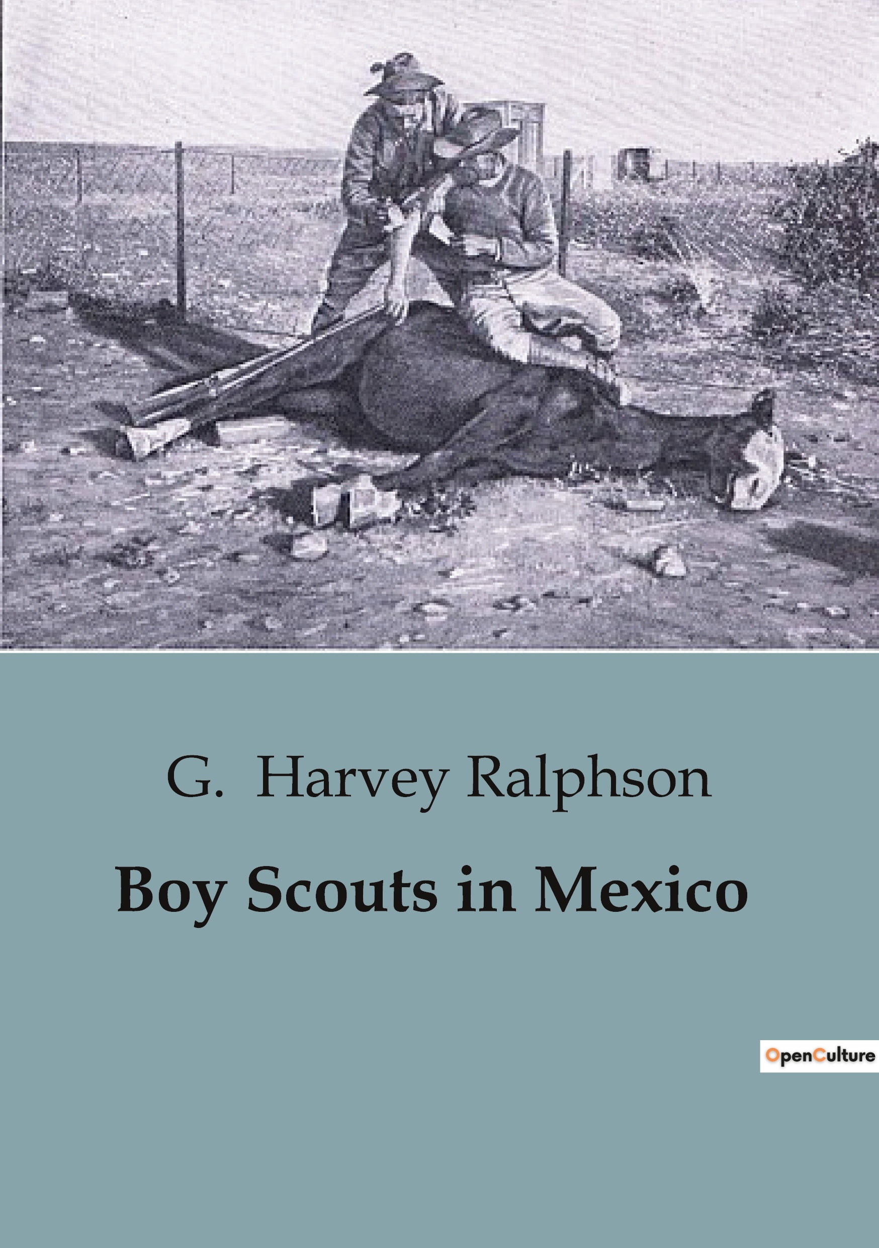 Boy Scouts in Mexico