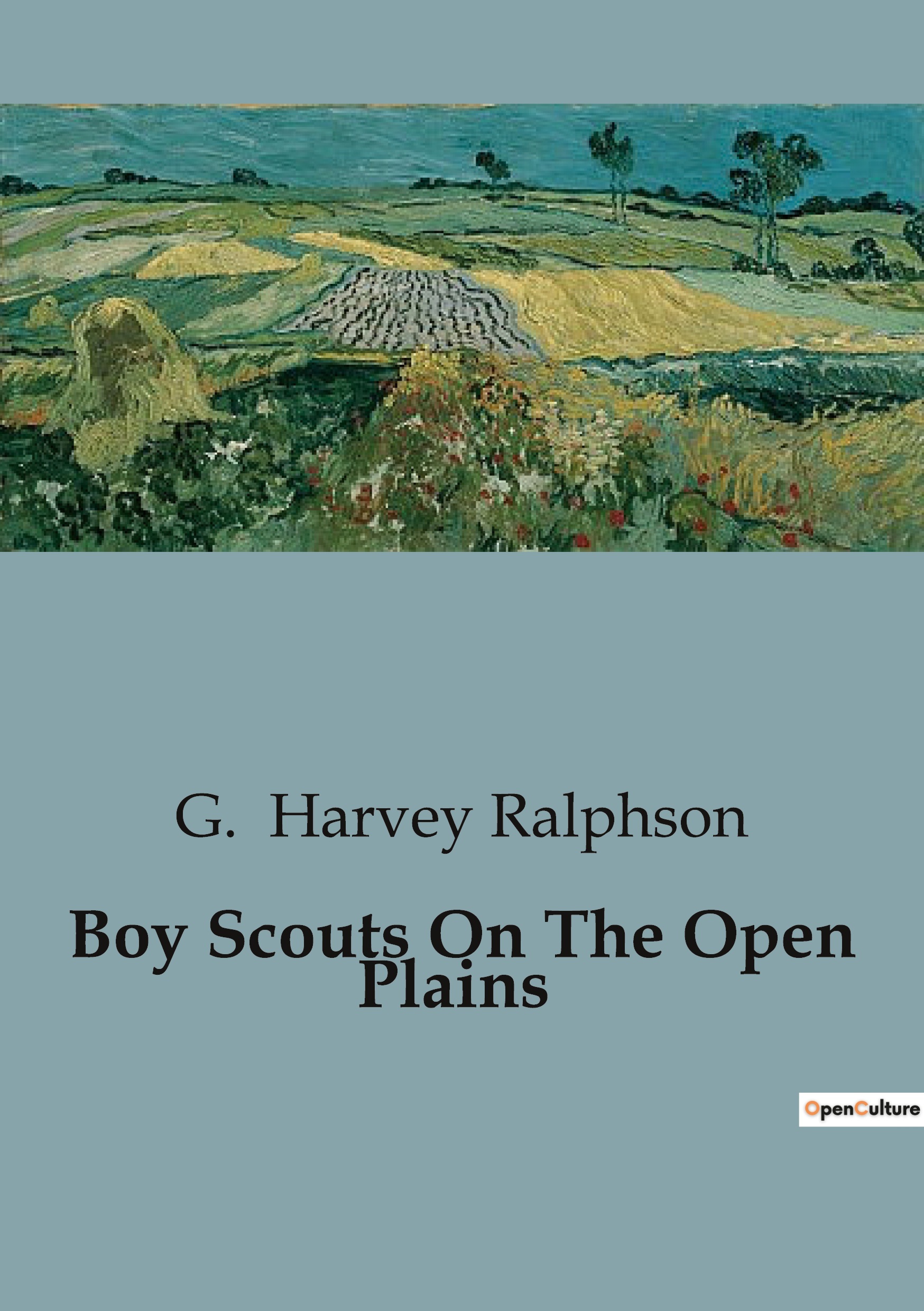 Boy Scouts On The Open Plains