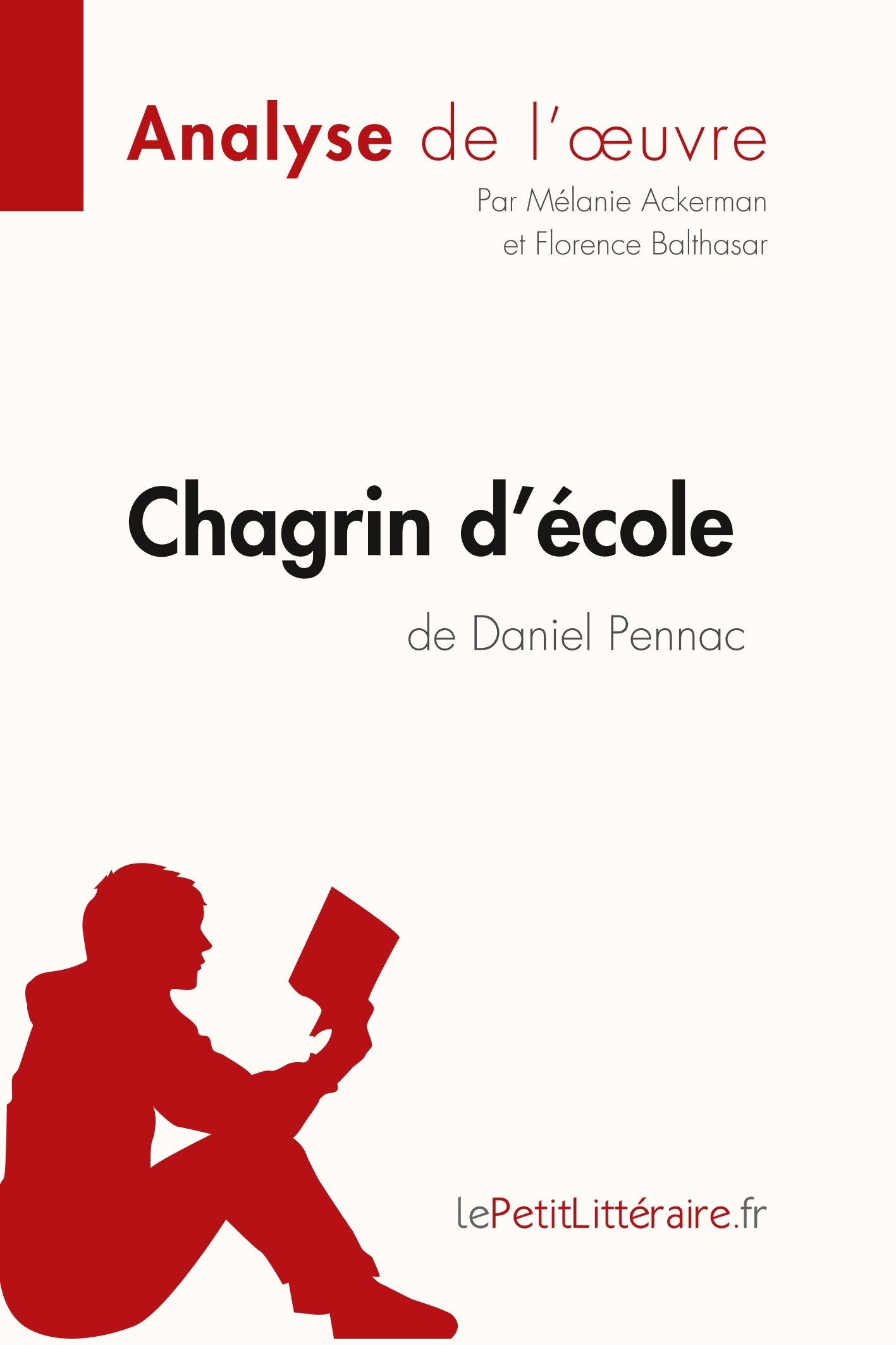 Chagrin d'école de Daniel Pennac (Analyse de l'oeuvre)