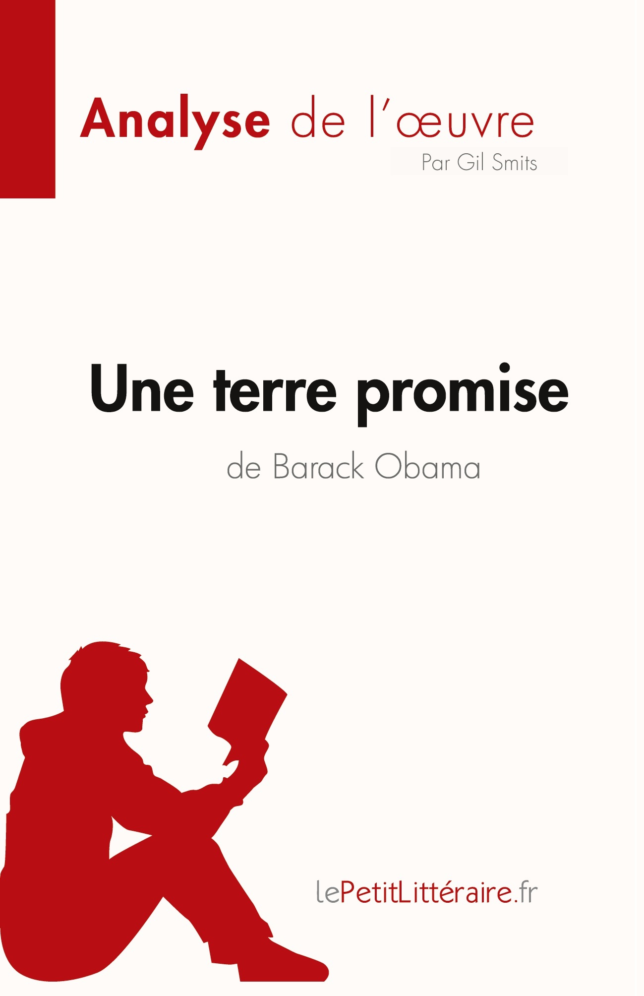 Une terre promise de Barack Obama (Analyse de l'oeuvre)