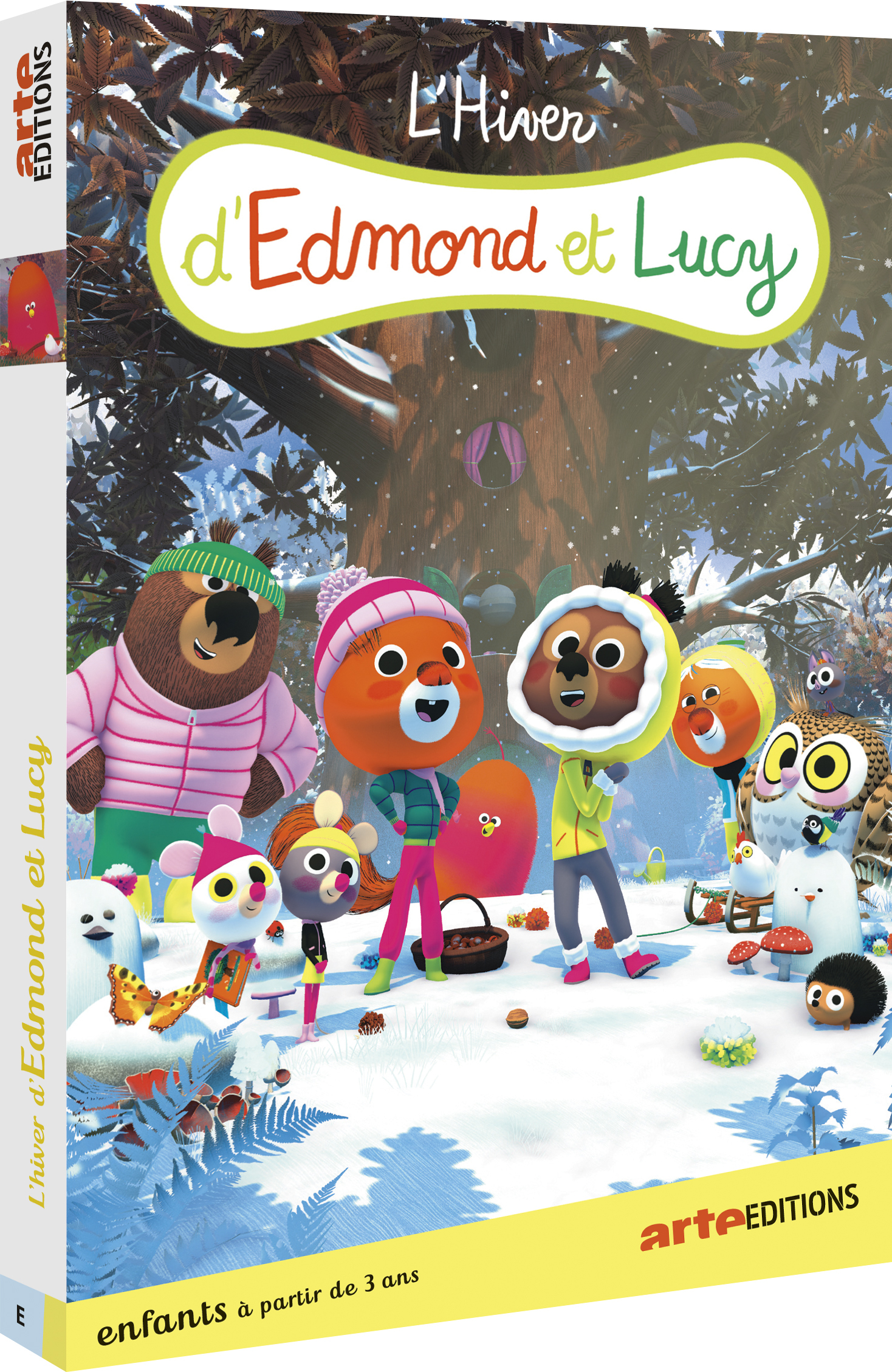 HIVER D'EDMOND ET LUCY (L') - DVD