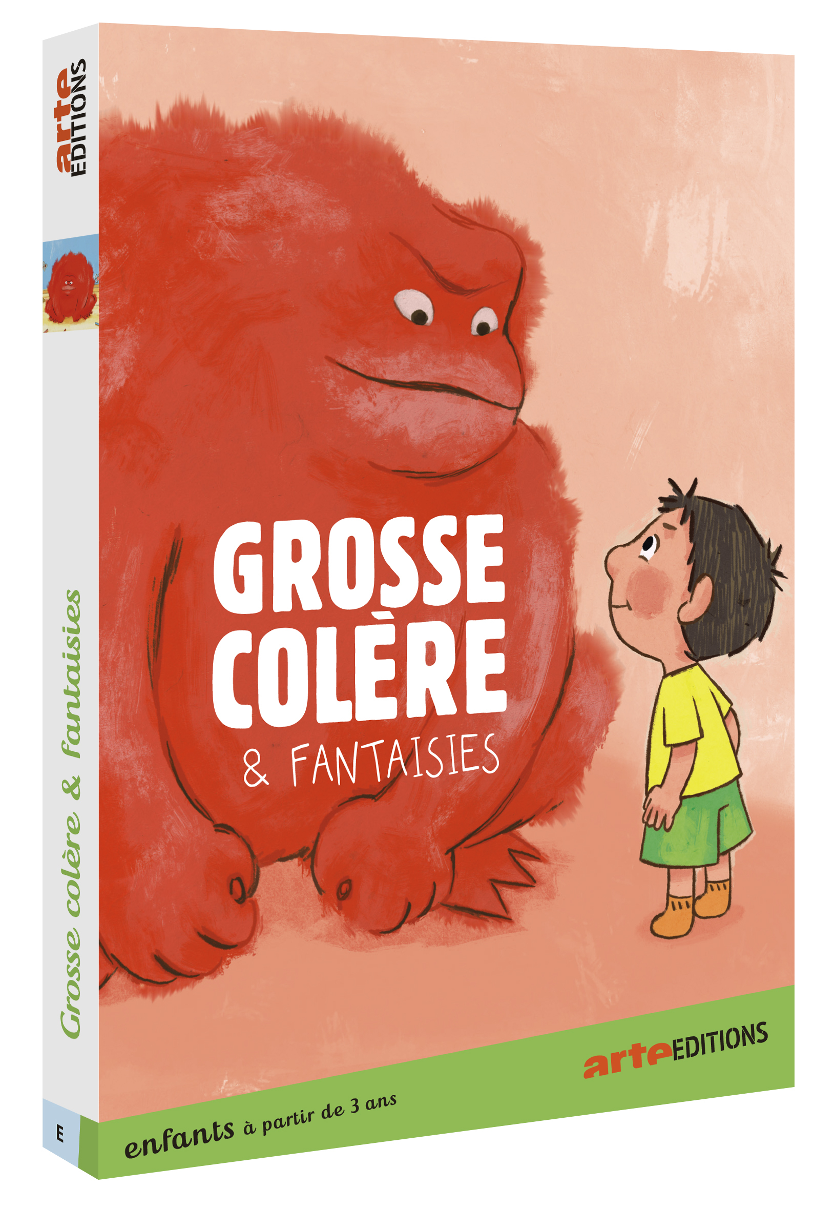 GROSSE COLERE ET FANTAISIES - DVD