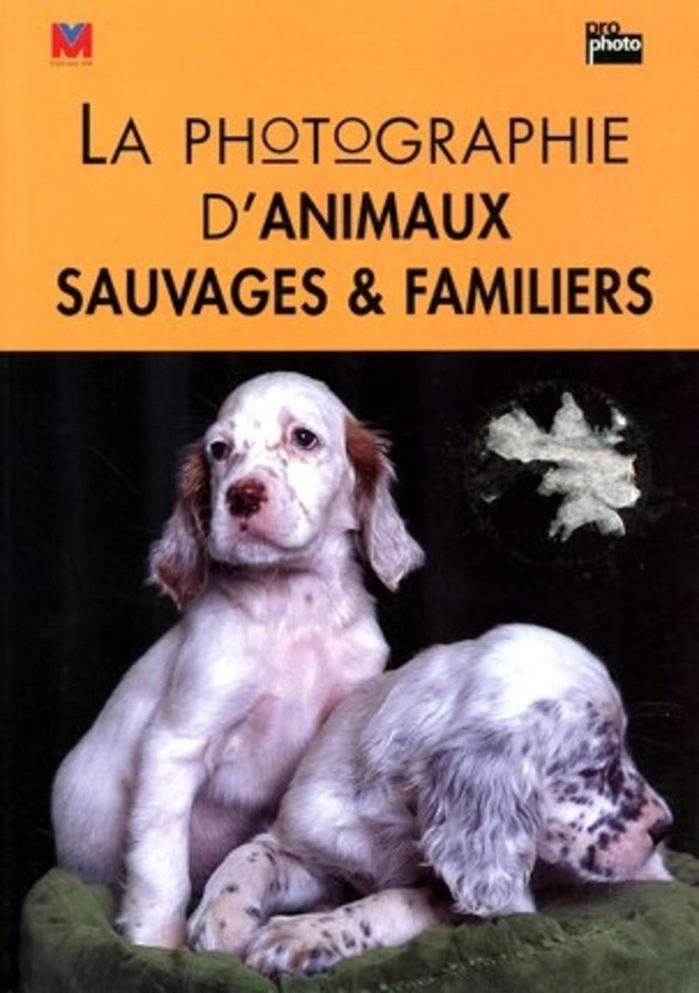 La photographie d'animaux sauvages et familiers