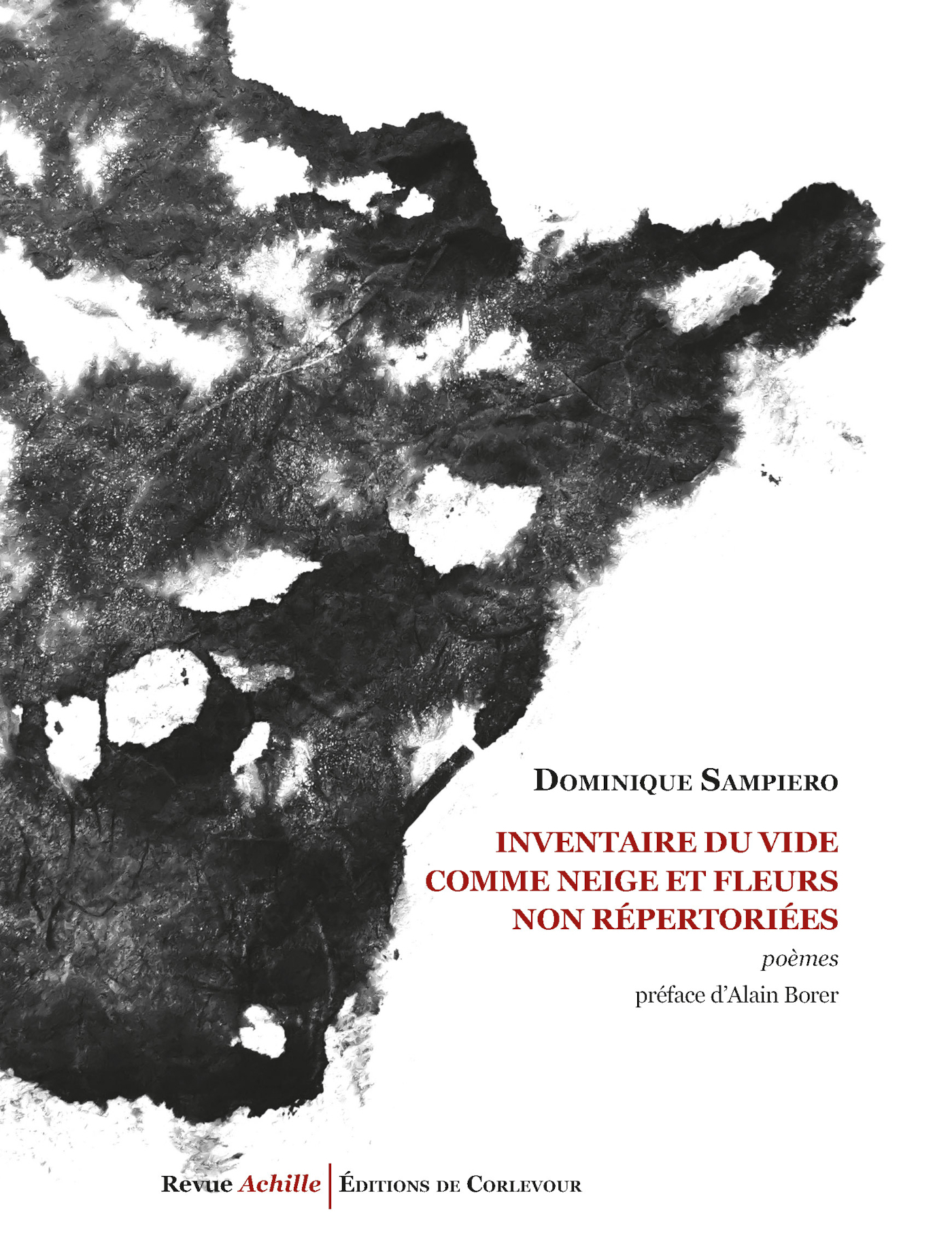 Inventaire du vide comme neige et fleurs non répertoriées