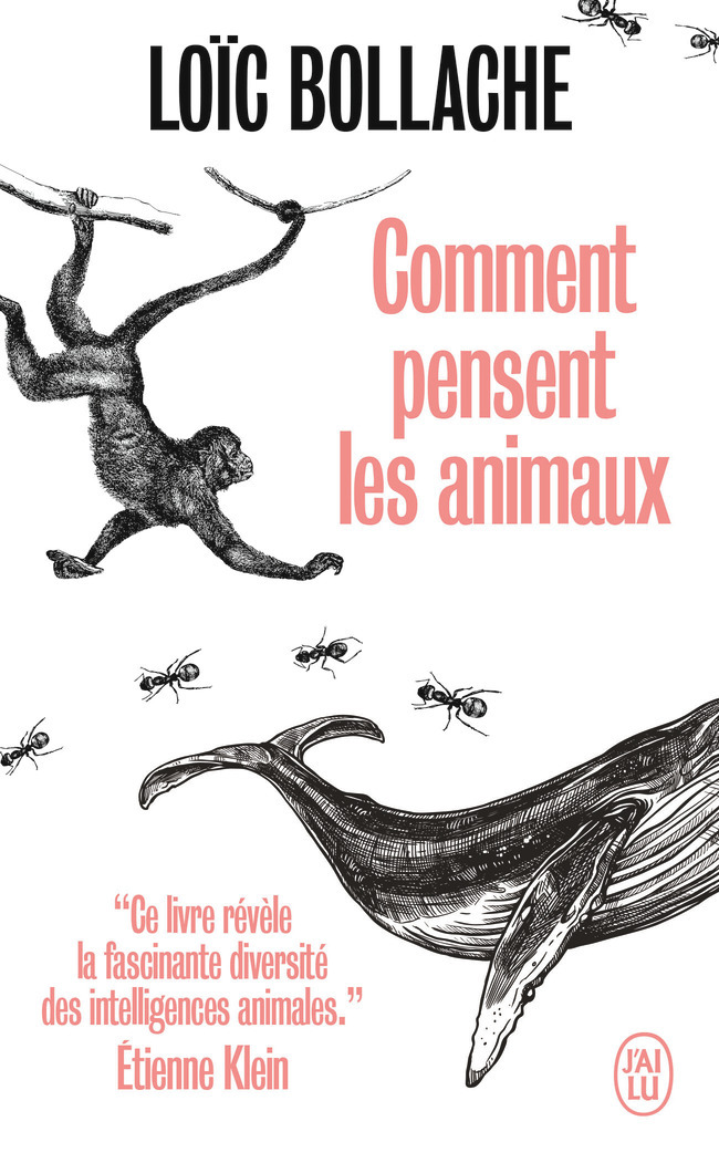 Comment pensent les animaux