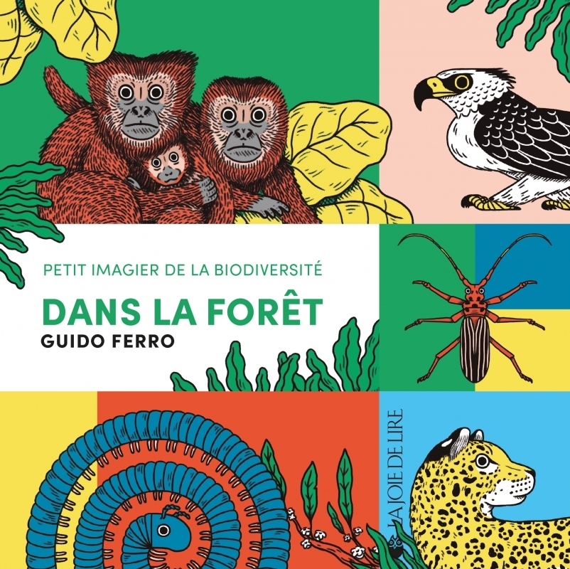 Dans la forêt - Petit imagier de la biodiversité