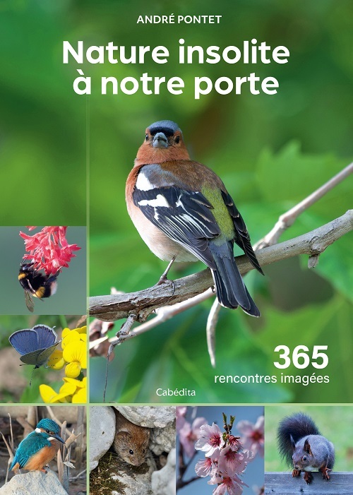 NATURE INSOLITE A NOTRE PORTE