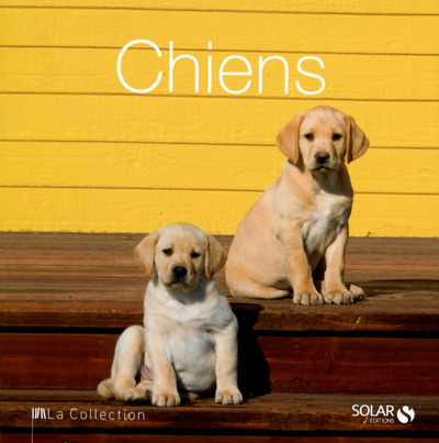 Chiens - La Collection - ne