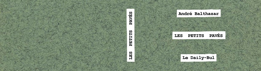 LES PETITS PAVES