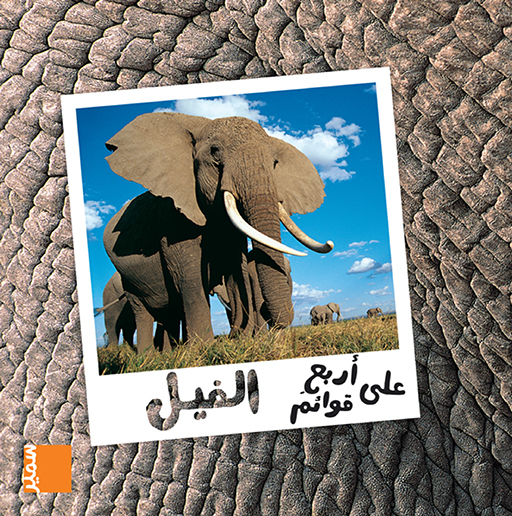 L´éléphant (arabe)