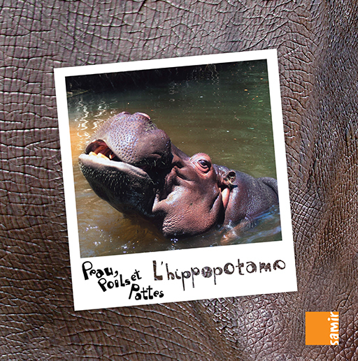 L´hippopotame