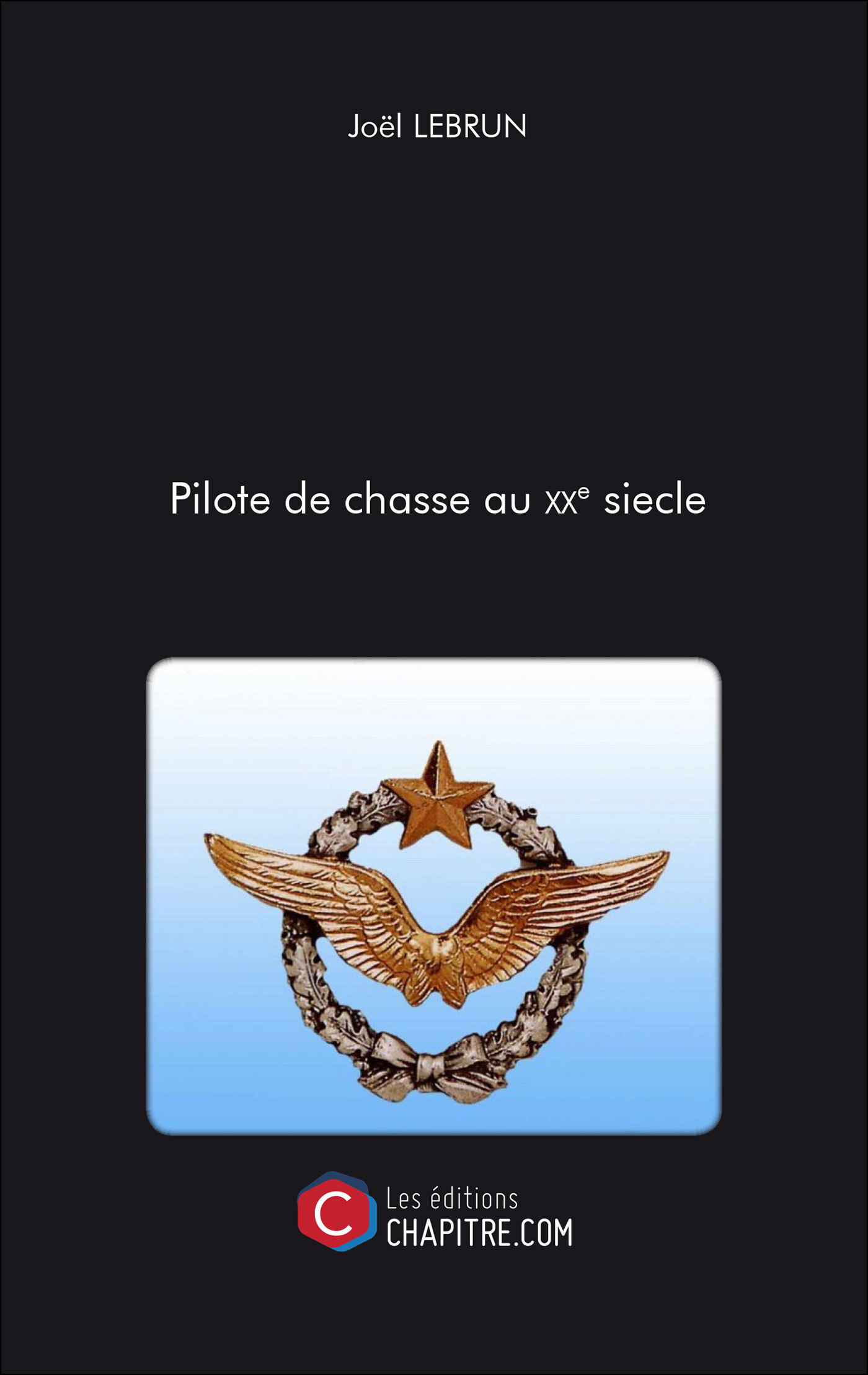 Pilote de chasse au XXe siecle