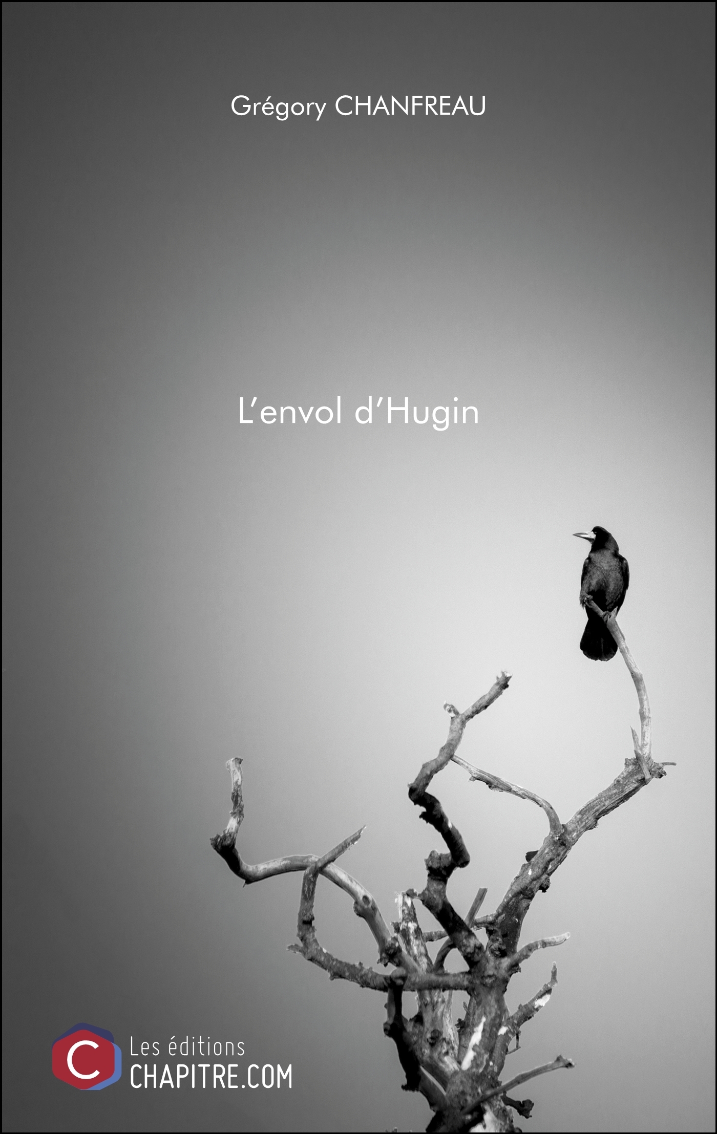 L'envol d'Hugin