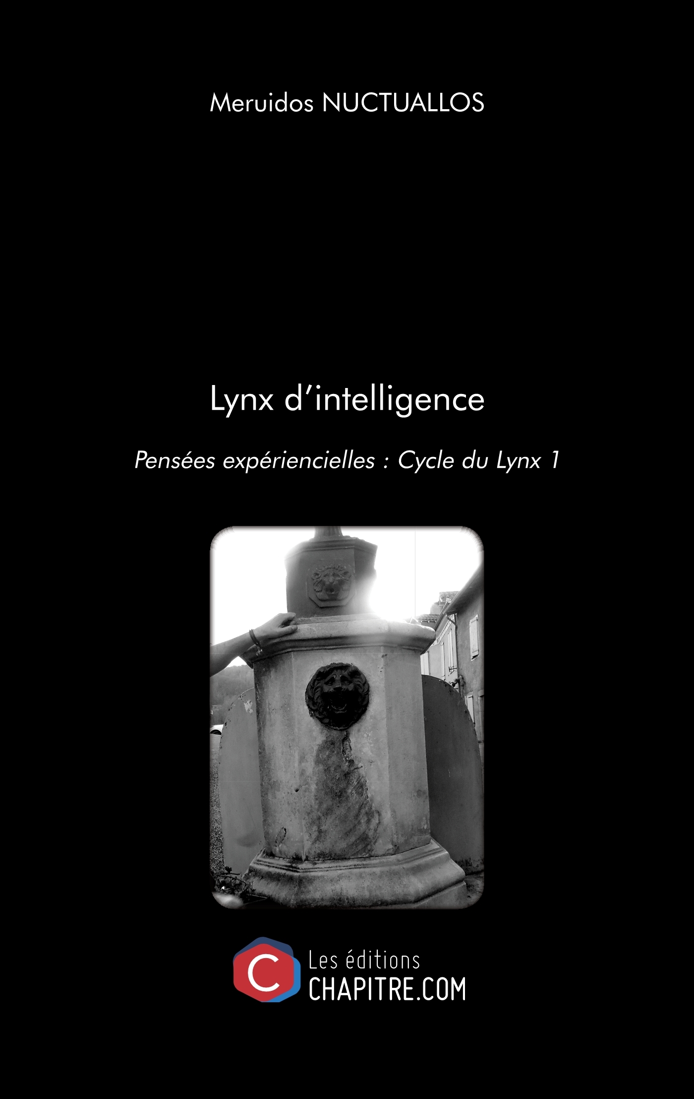 Lynx d'intelligence - Pensées expériencielles : Cycle du Lynx 1