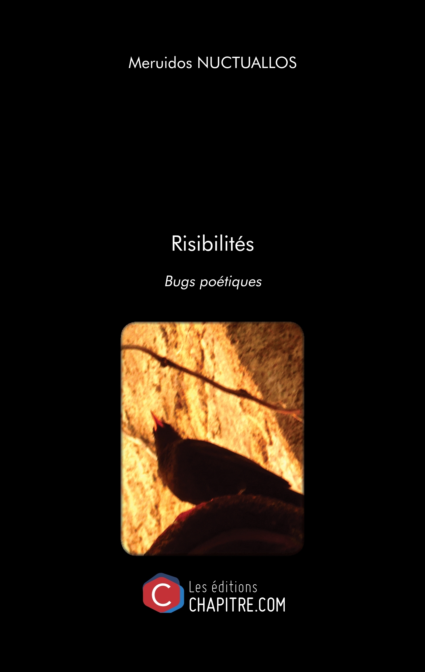 Risibilités - Bugs poétiques