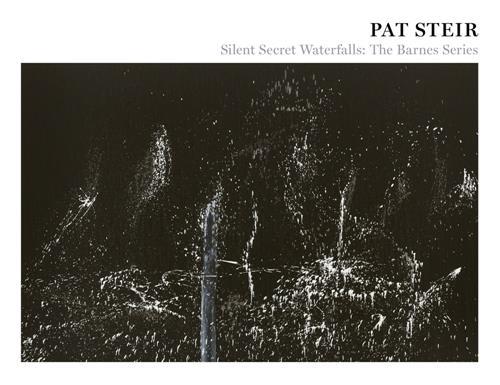 Pat Steir : Silent Secret Waterfalls /anglais