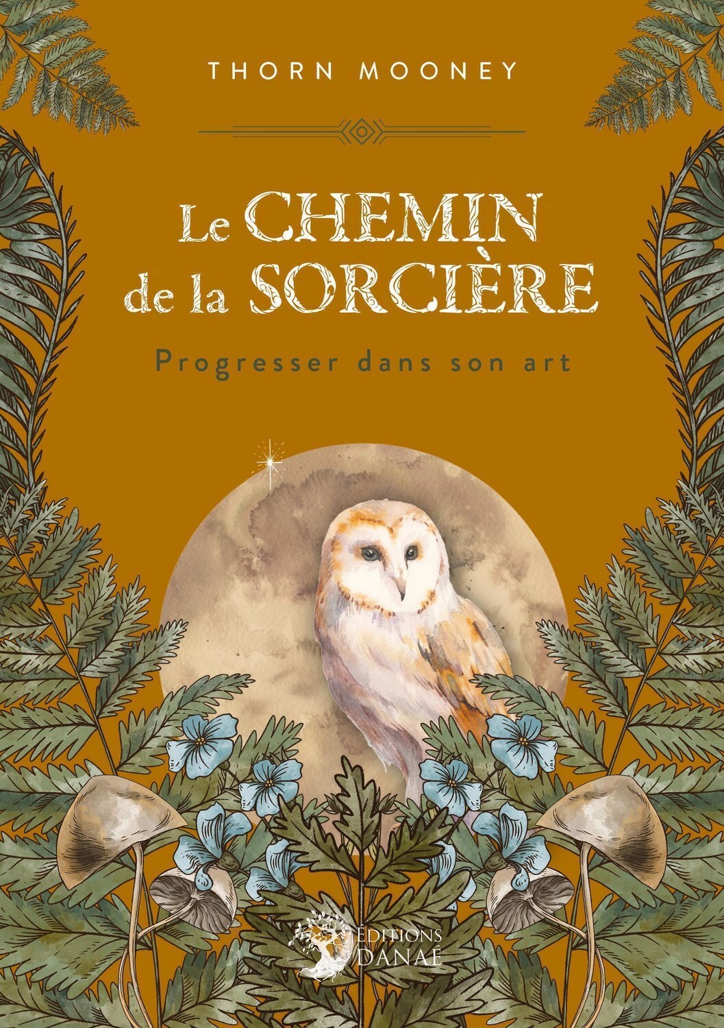 Le Chemin de la Sorcière - Progresser dans son Art
