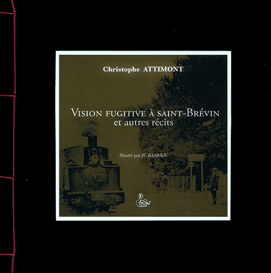 Vision fugitive à Saint-Brévin et autres récits