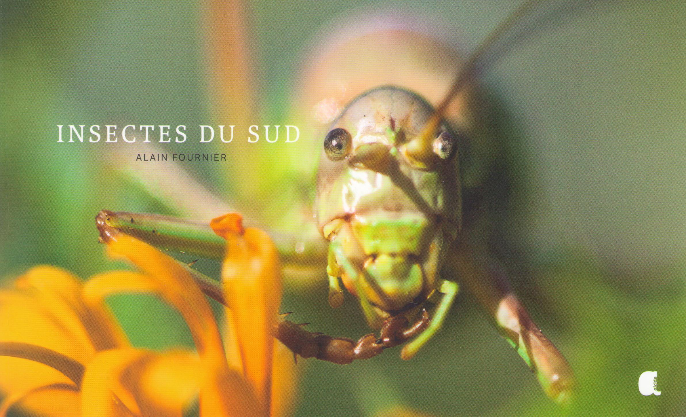 INSECTES DU SUD