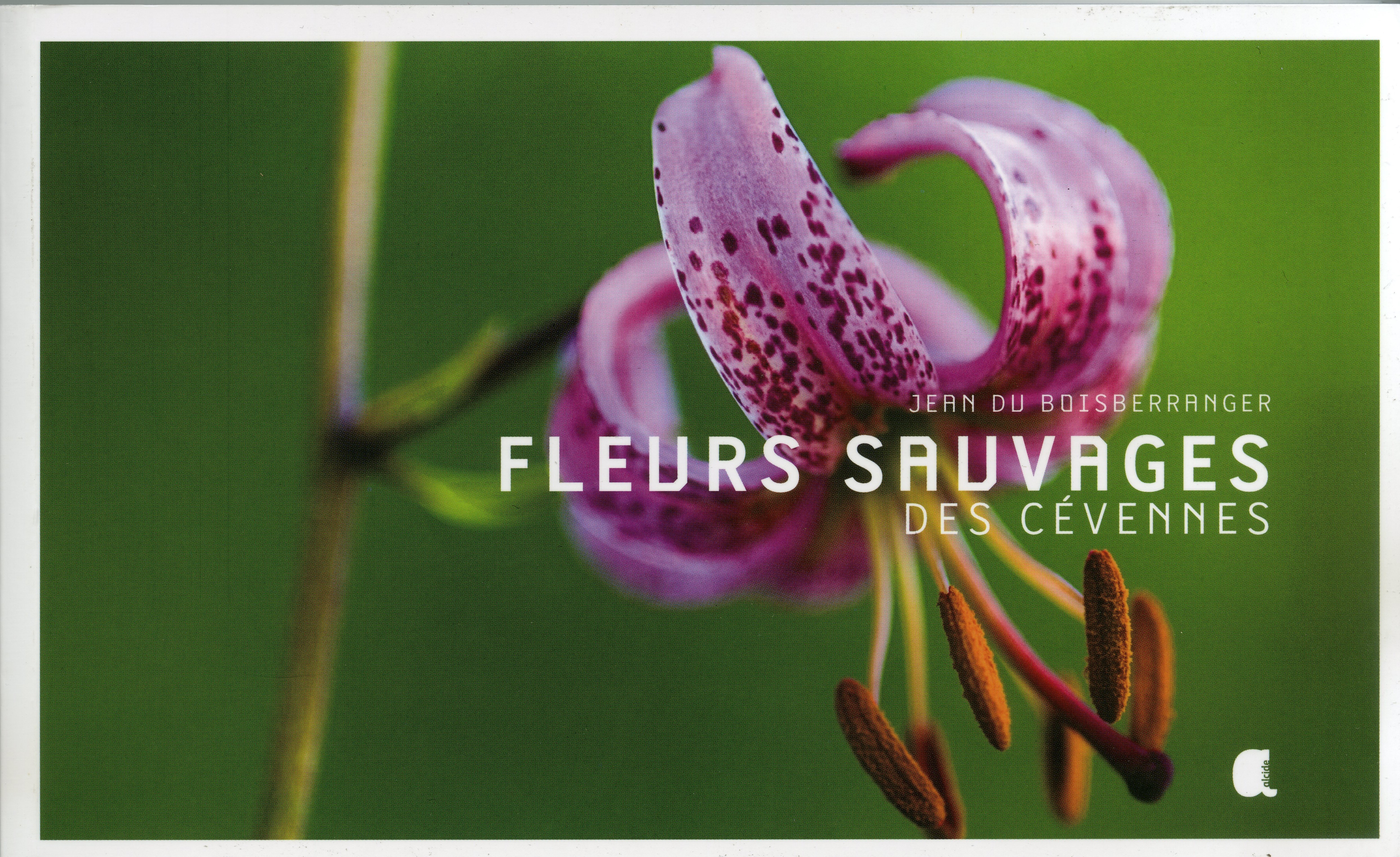 FLEURS SAUVAGES DES CEVENNES