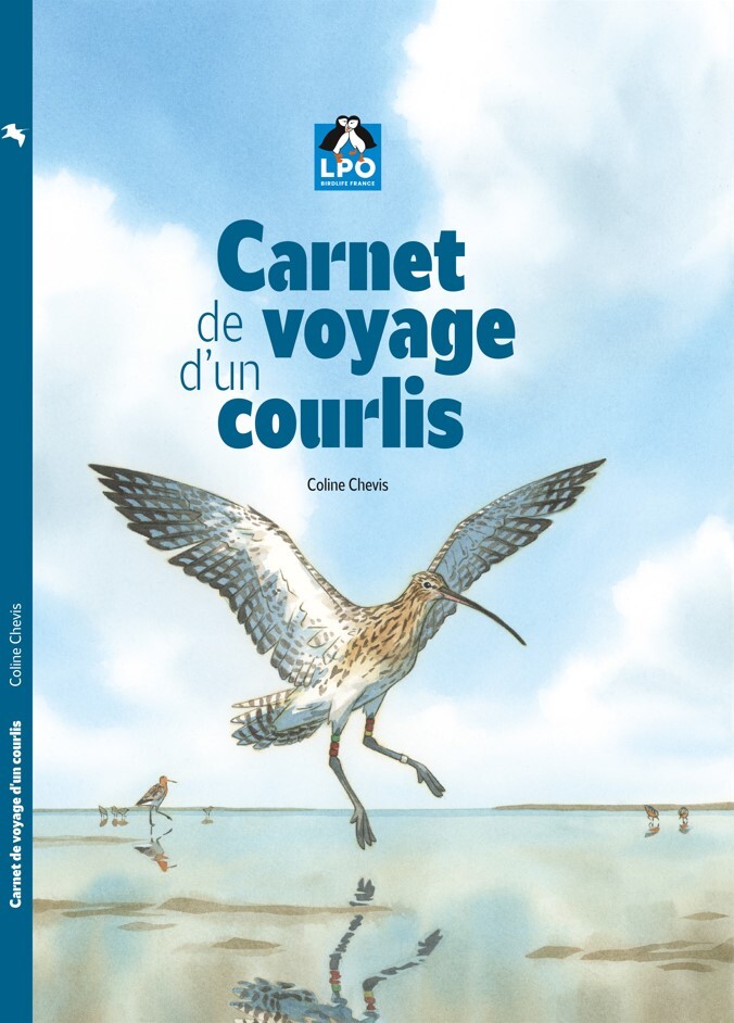 Carnet de voyage d'un Courlis