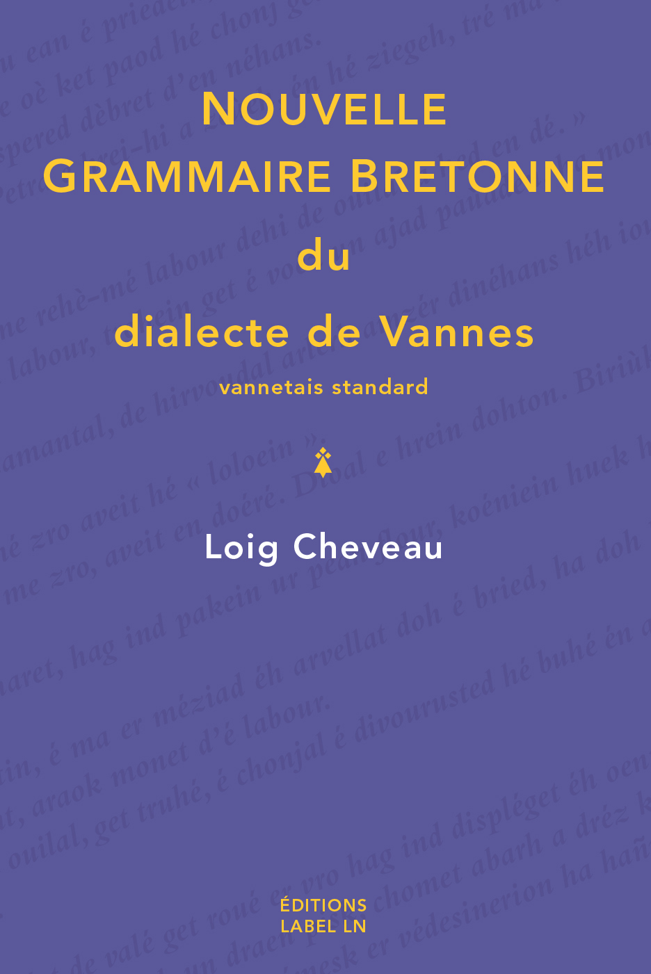 nouvelle grammaire bretonne du dialecte de Vannes