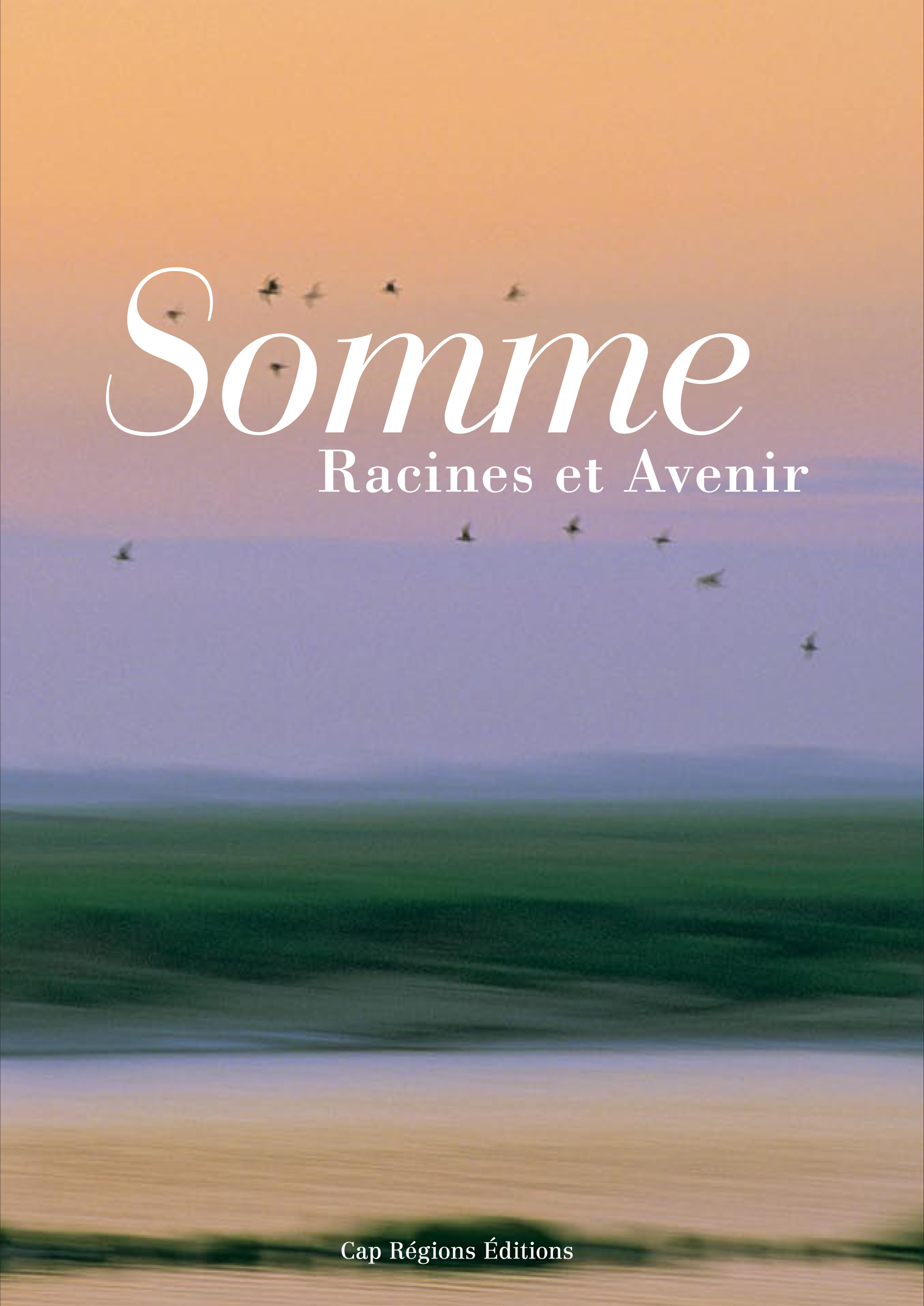 Somme - Racines et Avenir