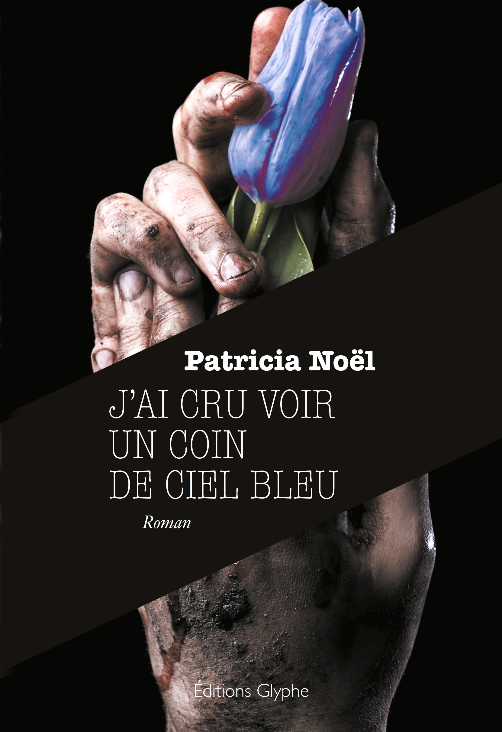 J'ai cru voir un coin de ciel bleu - roman