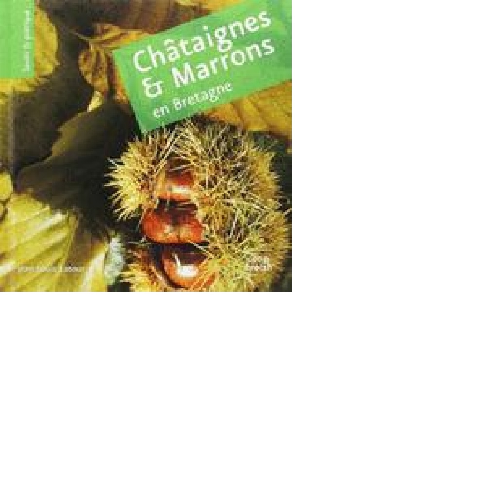 Châtaignes et marrons en Bretagne