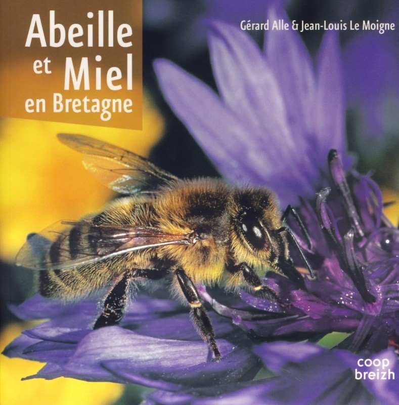 Abeille et miel en Bretagne