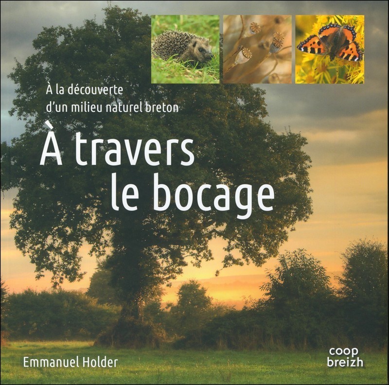A travers le bocage