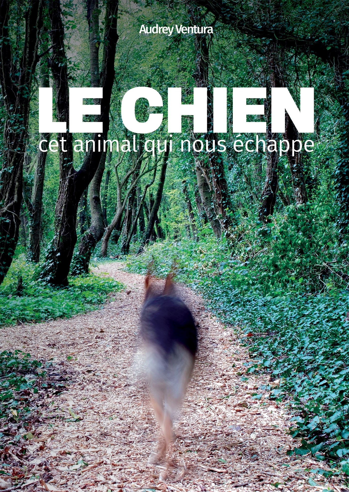 Le chien, cet animal qui nous échappe