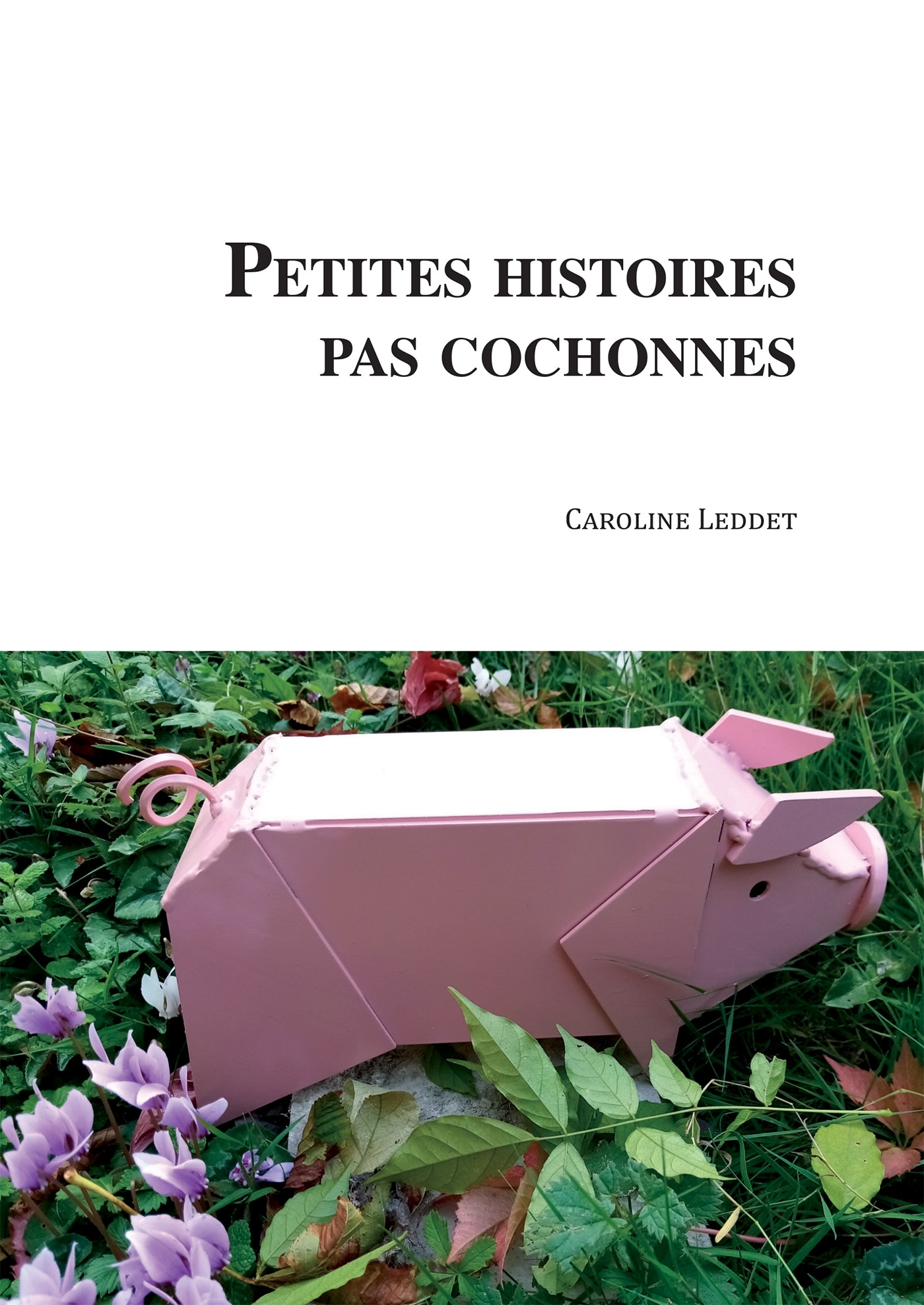 Petites histoires pas cochonnes