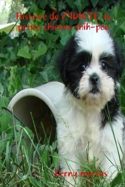 Histoire de Z'IDIOTE, la petite chienne shih-poo