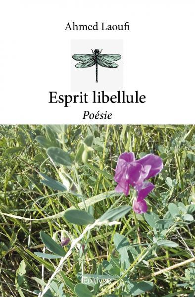 Esprit libellule