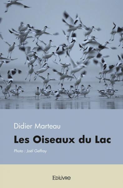 Les oiseaux du lac