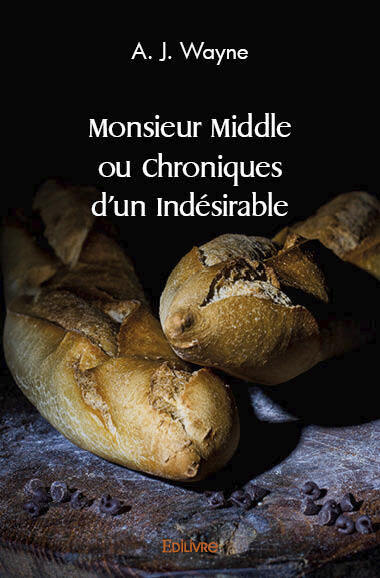 Monsieur middle ou chroniques d'un indésirable