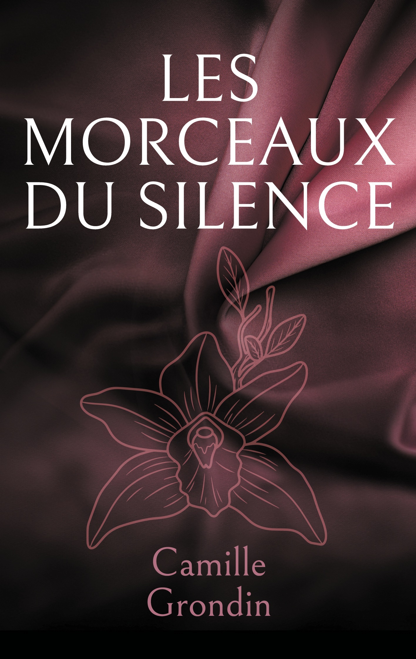 Les morceaux du silence