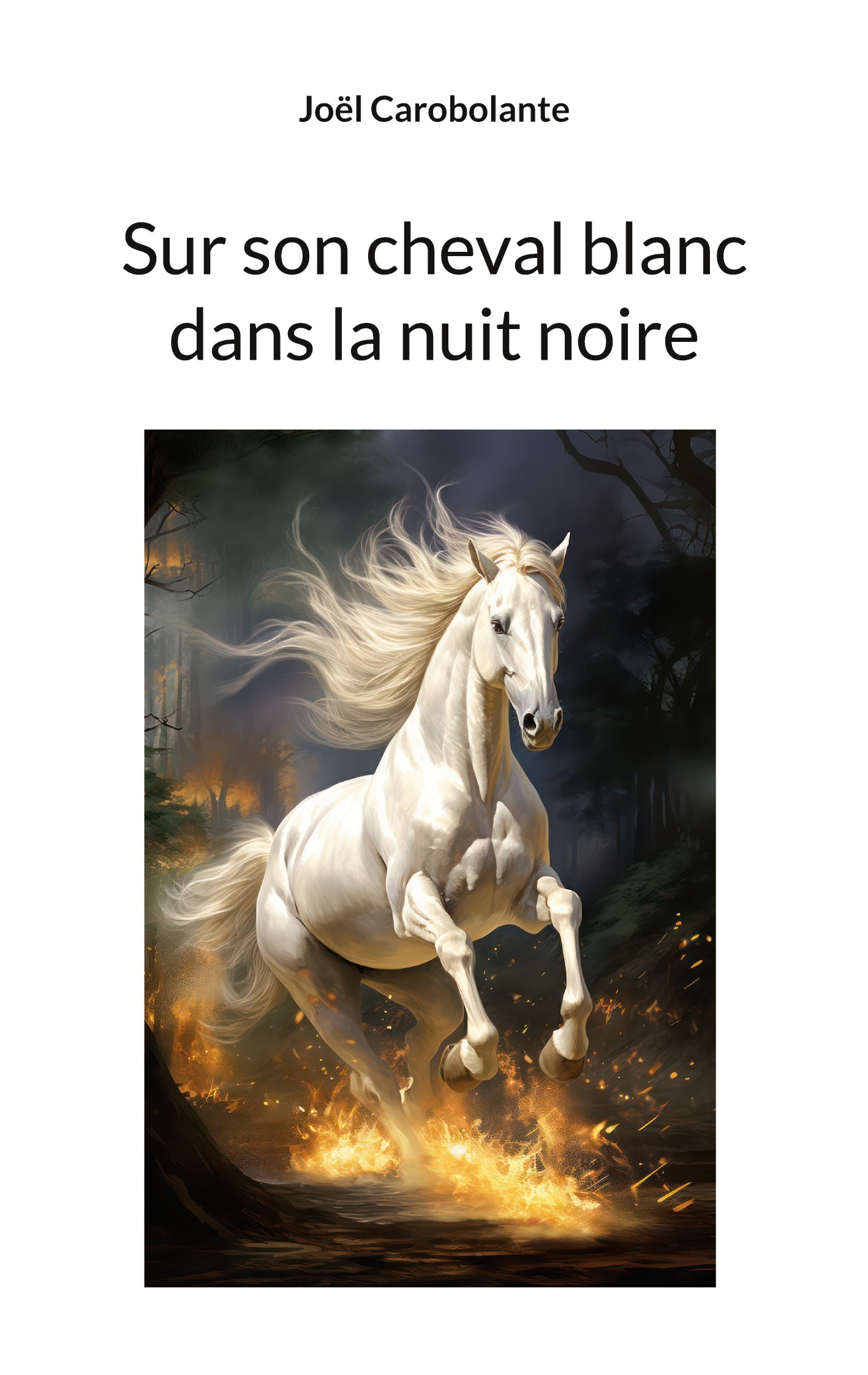 Sur son cheval blanc dans la nuit noire