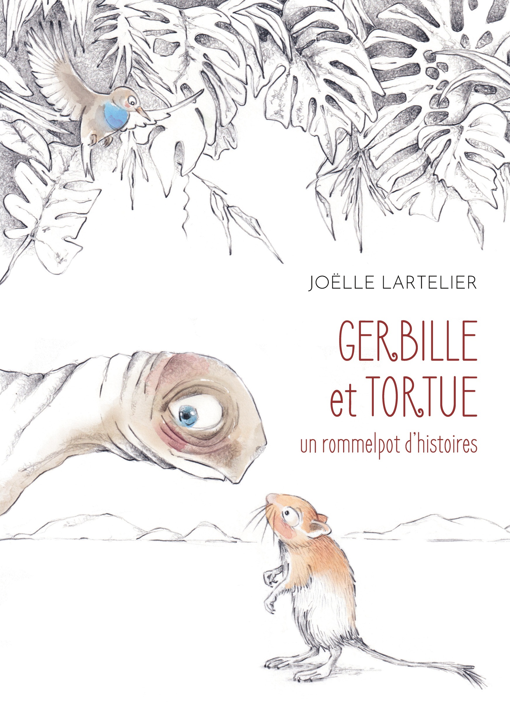 Gerbille et Tortue
