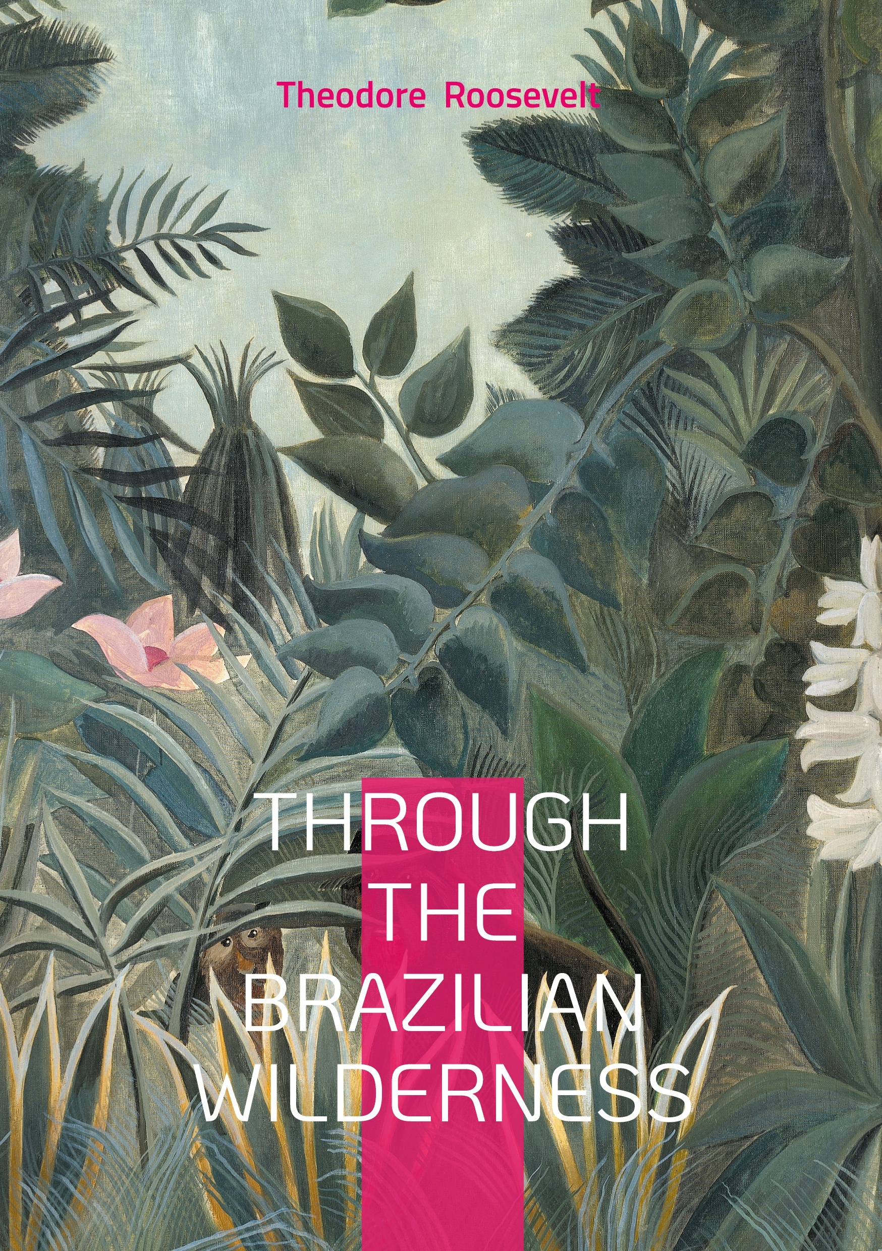 Through the Brazilian Wilderness