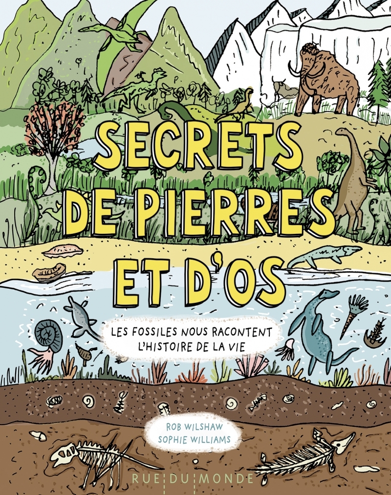 Secrets de pierres et d'os - Les fossiles nous racontent l'h
