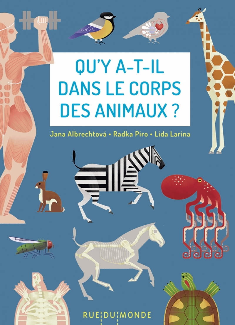 Qu'y a-t-il dans le corps des animaux ?