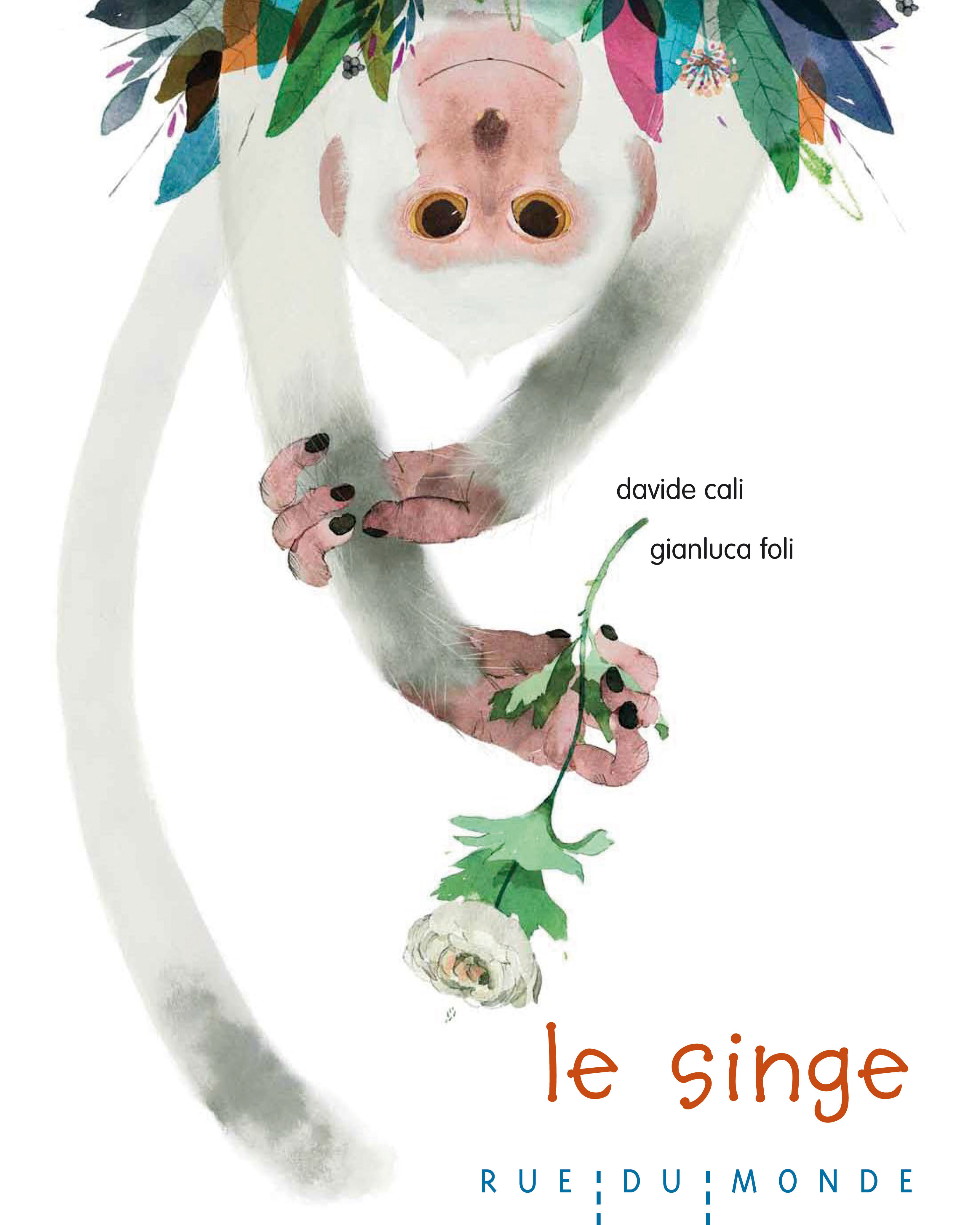 LE SINGE