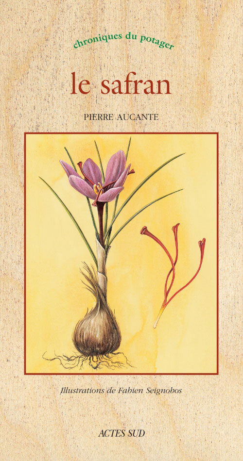 Le safran