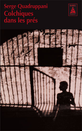 Colchiques dans les prés NE