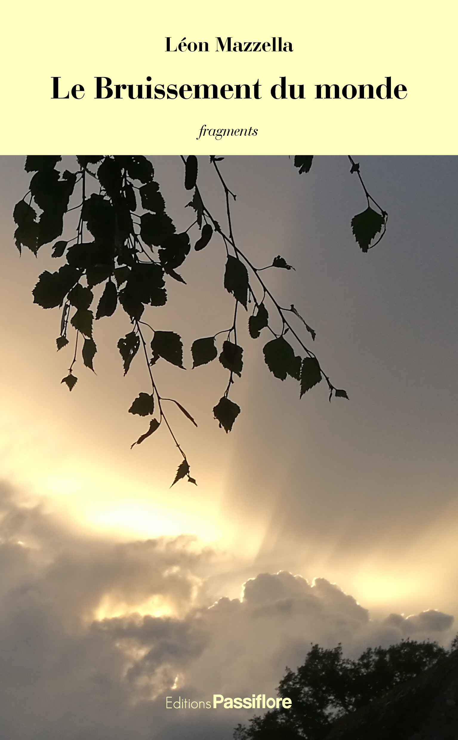 Le bruissement du monde - fragments