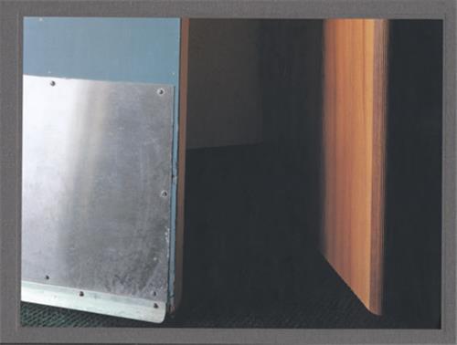 Ron Jude: Other Nature /anglais